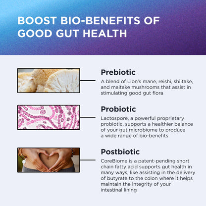 DR. EMIL NUTRITION Women & Men Total Gut Health Complex | Prebiotic + Probiotic + Postbiotic Gut Health Supplements