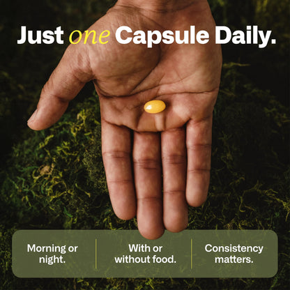 IMMY Doctor-Developed Inflammation Support - 90 Capsules - Supports Healthy Inflammatory Response & Immune Resilience