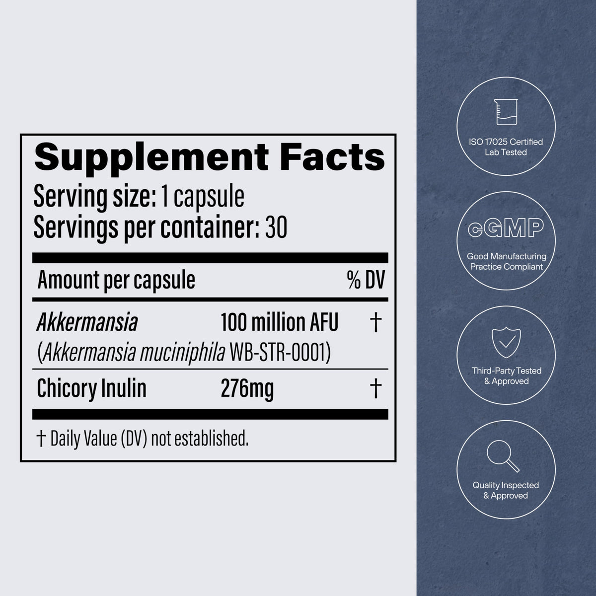 Pendulum Akkermansia Probiotic with Prebiotic Fiber - Delayed Release Capsules, Third-Party Tested, Authentic 100M AFU Live Strain for Gut Health