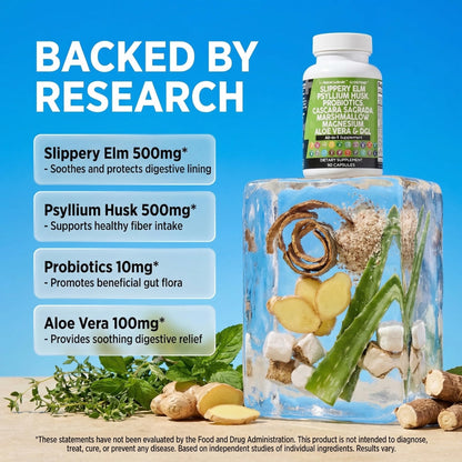 Clean Nutraceuticals Slippery Elm Psyllium Husk Pre Probiotic Digestive Gut Health Supplement with Aloe Vera Cascara Sagrada