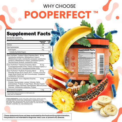 Clean Nutra Prebiotic Postbiotic Digestive Enzymes Gummies with Chicory Root, Boswellia Serrata, Turmeric, and Akkermansia | Pre+Post Probiotics Supplement