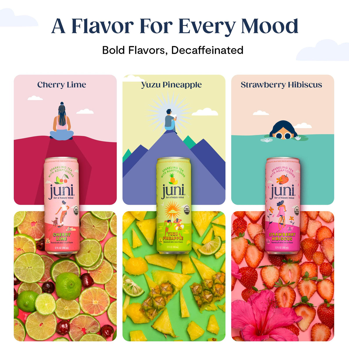 Juni Sparkling Adaptogen Drink with Ashwagandha, Lion’s Mane & Reishi Mushrooms | Green Tea for Focus, Zero Sugar, 5 Calories | Decaffeinated, Non Alcoholic Drinks - Strawberry Hibiscus 12 pack JUNI buy supplements Au