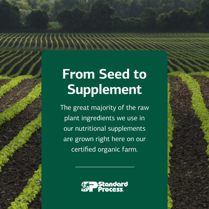 Standard Process Cataplex B-GF - Supports Nervous System Health - B Vitamins for Energy & Heart Support - Aids Energy During Physical Activity - Gluten-Free, Non-Soy & Non-Dairy - 360 Tablets Standard Process Inc.Buy Supplements Australia