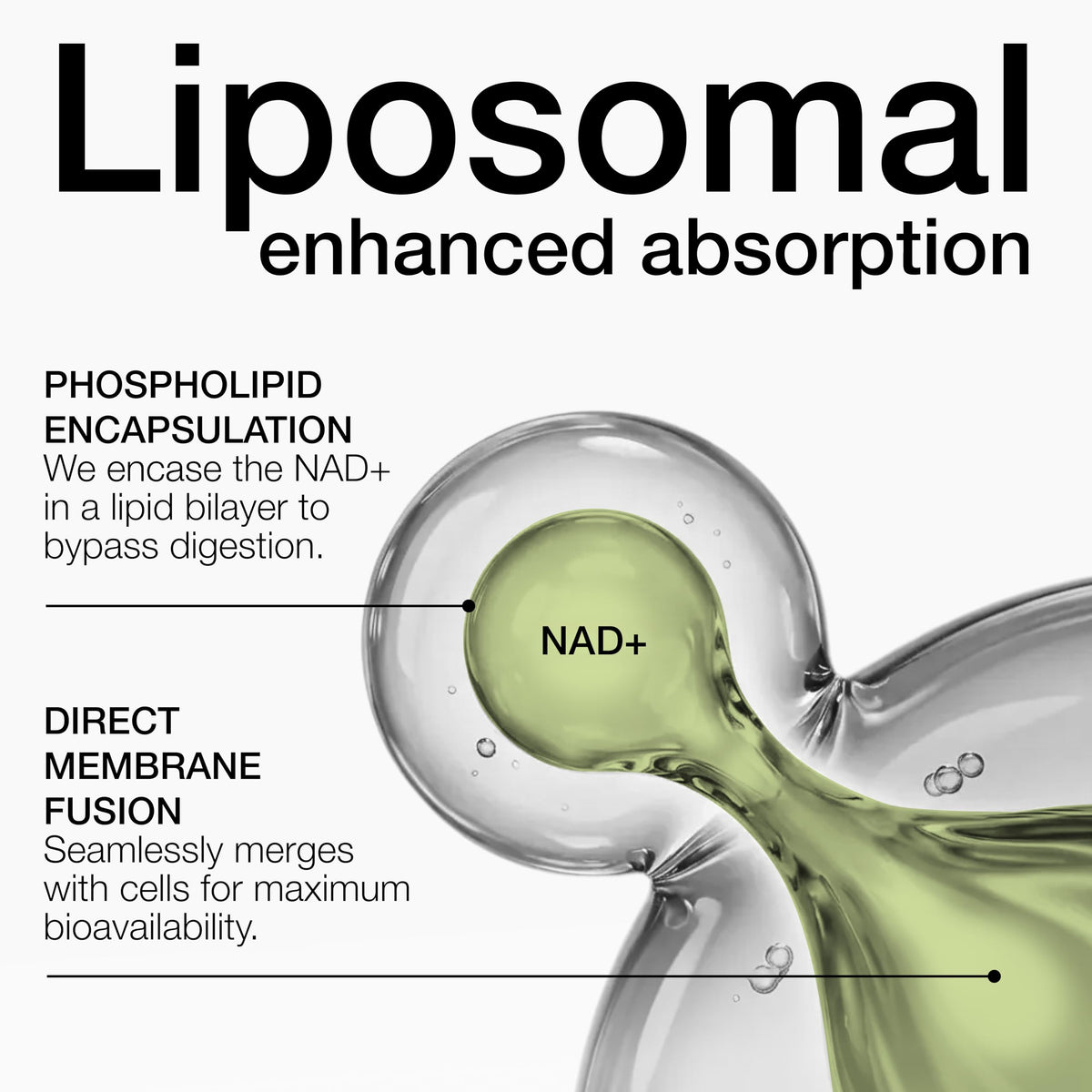 Toniiq Liposomal NAD+ and Resveratrol Supplement - 1500mg Ultra High Strength NAD Supplement - Clinically Studied Ingredients with Patented RiaGev-WS