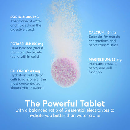 Nuun Sport Electrolyte Tablets with Magnesium, Calcium, Potassium, Chloride & Sodium, Gluten Free & Vegan, Mixed Flavor, 4 Pack (40 Servings Total)