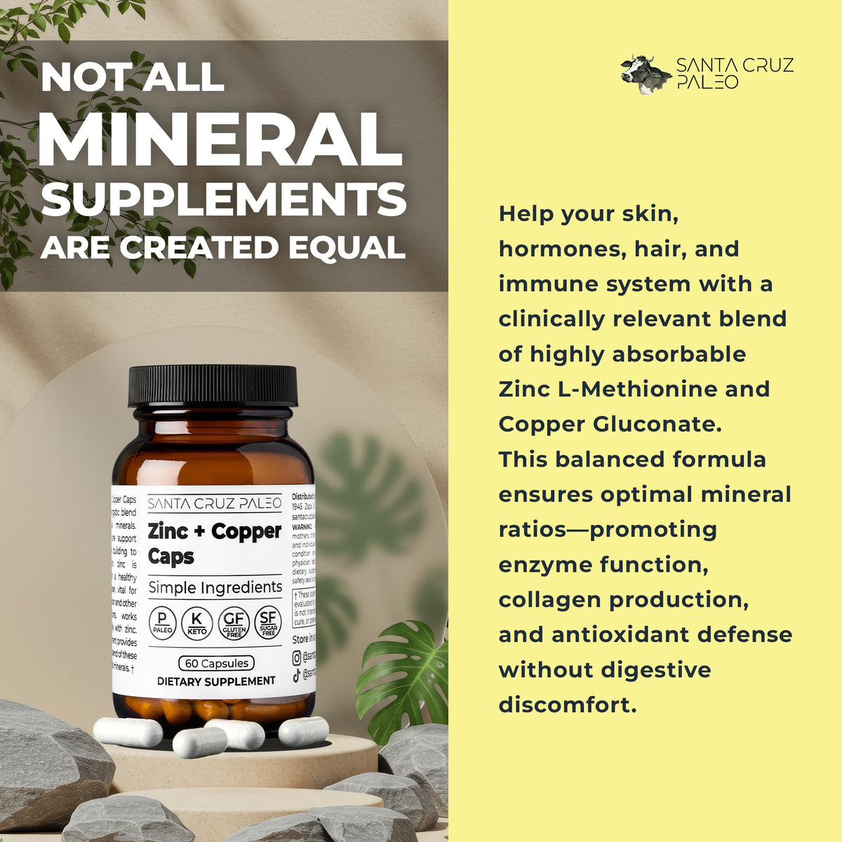 Santa Cruz Paleo, Zinc & Copper Mineral Supplement, High Absorption Formula, Zinc Supplement for Skin & Hair, L Methionine, Copper Gluconate, Trace Minerals