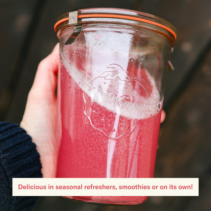 Ballerina Farm Farmer Hydrate, Daily Electrolytes Powder, Raspberry Lemonade, Hydration Drink Mix with Organic Coconut Water, Irish Sea Moss, Sea Salt, Prebiotic Fiber, No Added Sugar, 25 Servings
