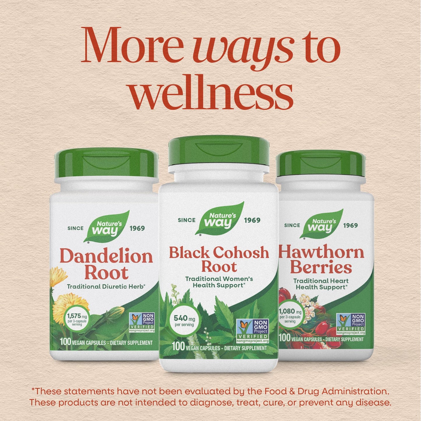 Nature’s Way Herbs Black Cohosh Root Capsules, Traditional Women’s Herbal Supplement*, Cimicifuga Racemosa Root,