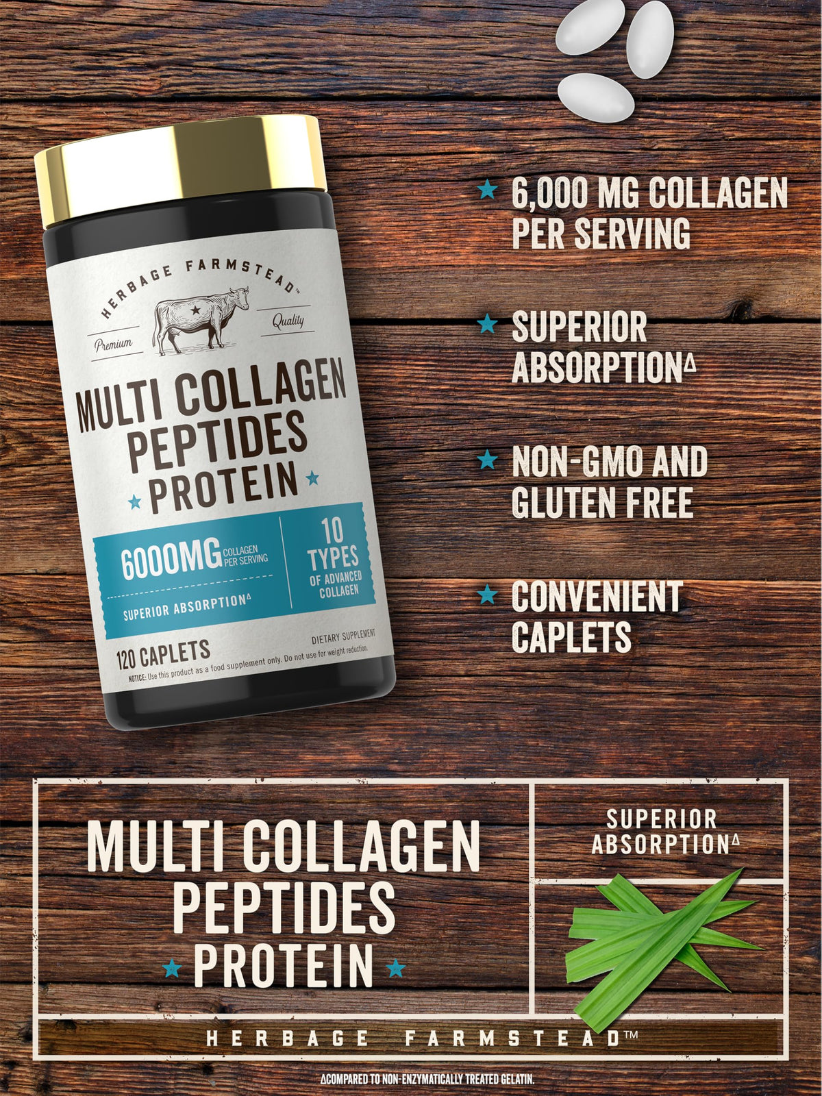 Carlyle Multi Collagen Peptides 6000mg | 120 Caplets | 10 Types of Advanced Collagen with Protein | Non-GMO, Gluten Free Supplement | by Herbage Farmstead Carlyle buy supplements Au